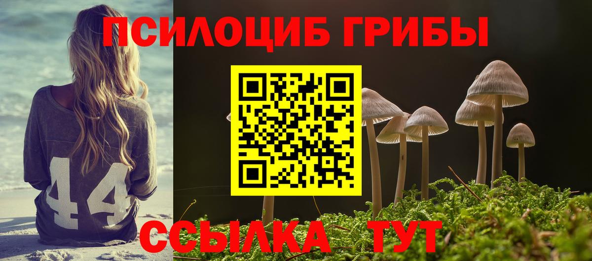 Галлюциногенные грибы мицелий  хочу наркоту  Балтийск  Вход с VPN 